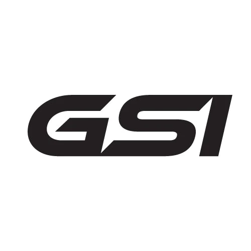  GSI 